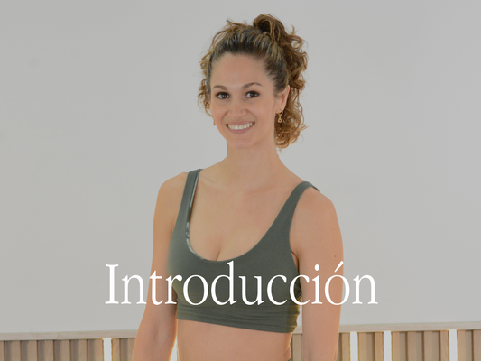 Intro Tatis