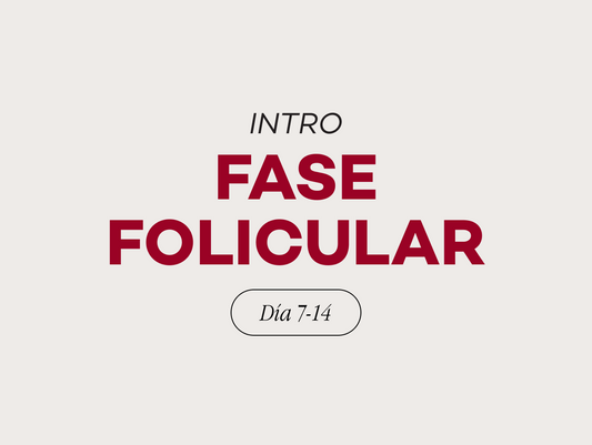 Fase 2: Folicular