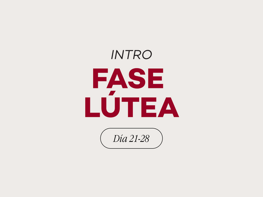 Fase 4: Lútea