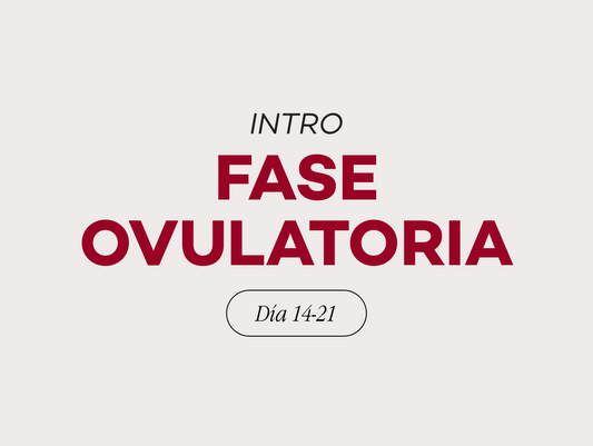 Fase 3: Ovulatoria