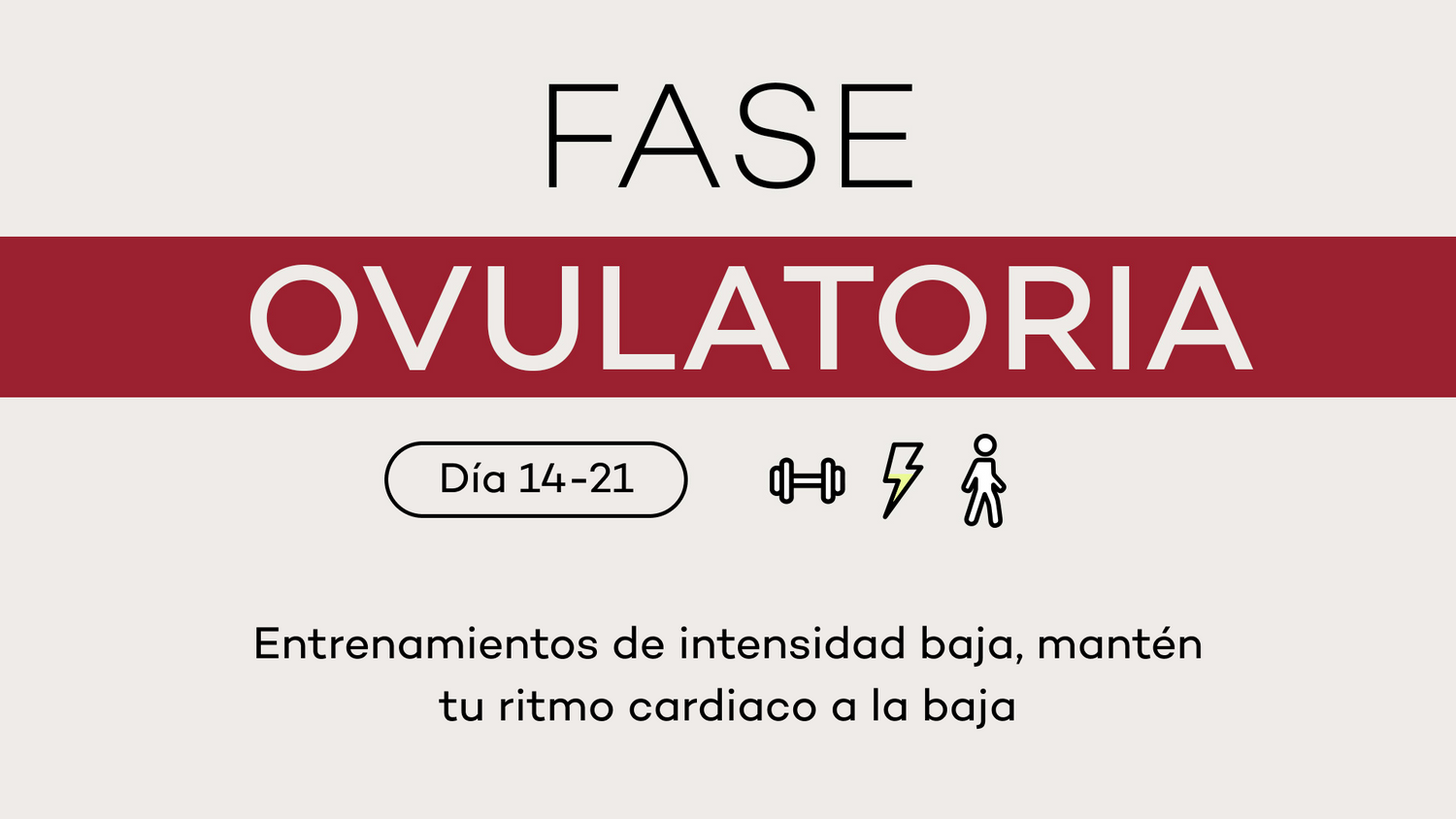 Fase 3: OVULATORIA