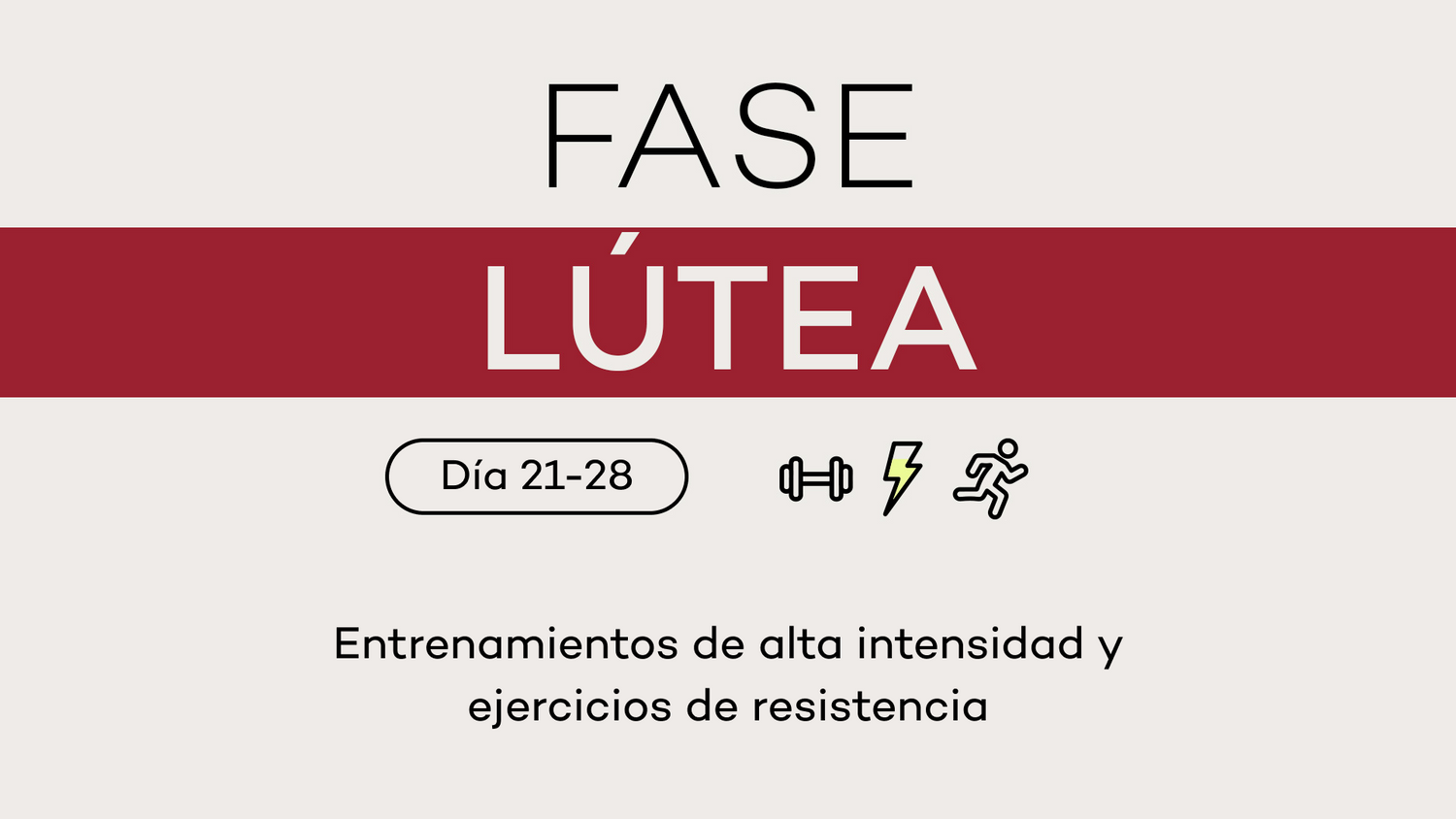 Fase 4: LÚTEA