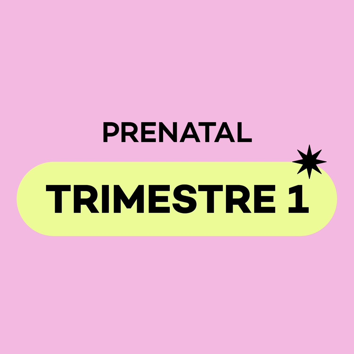 Prenatal Trimestre 1