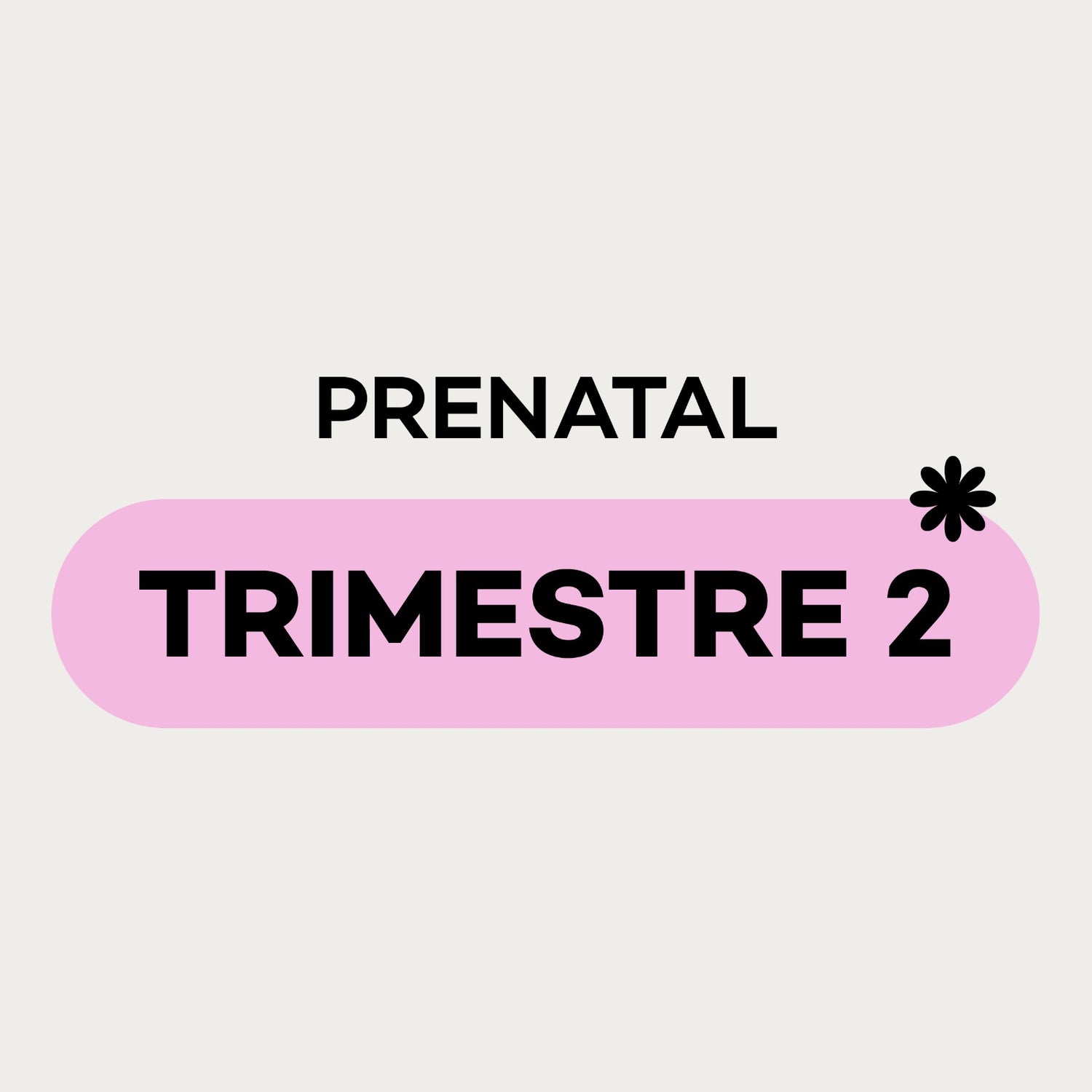 Prenatal Trimestre 2