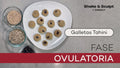 Galletas de Tahini