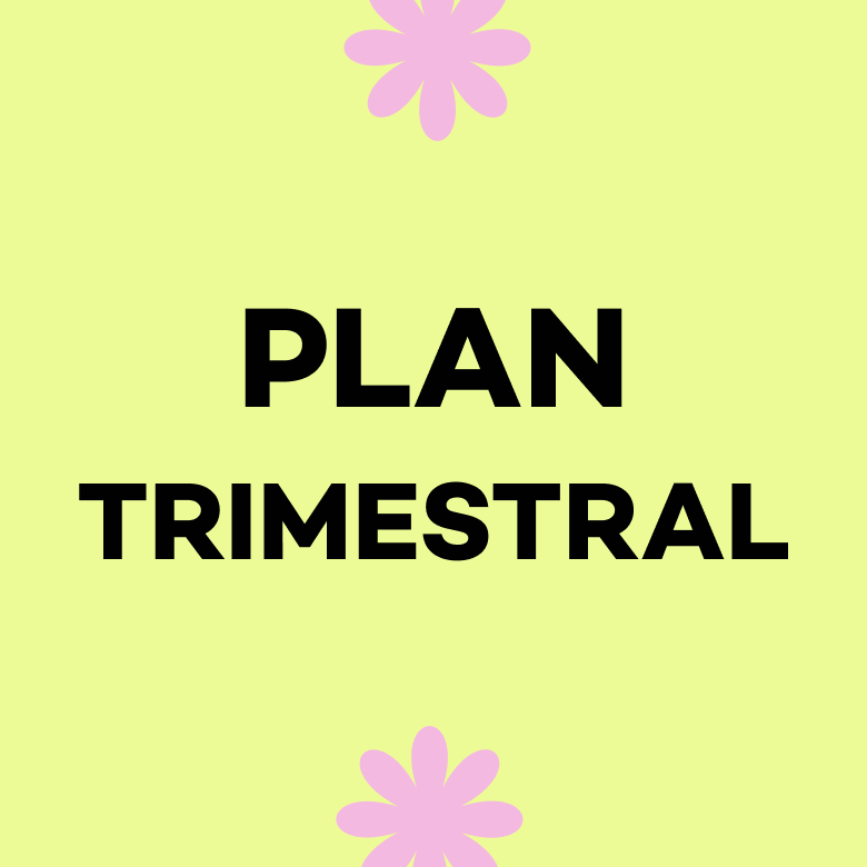 PLAN TRIMESTRAL