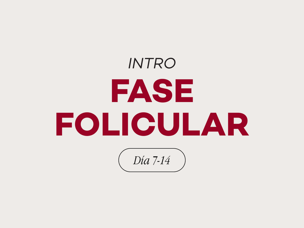 Fase 2: Folicular