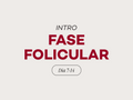 Fase 2: Folicular