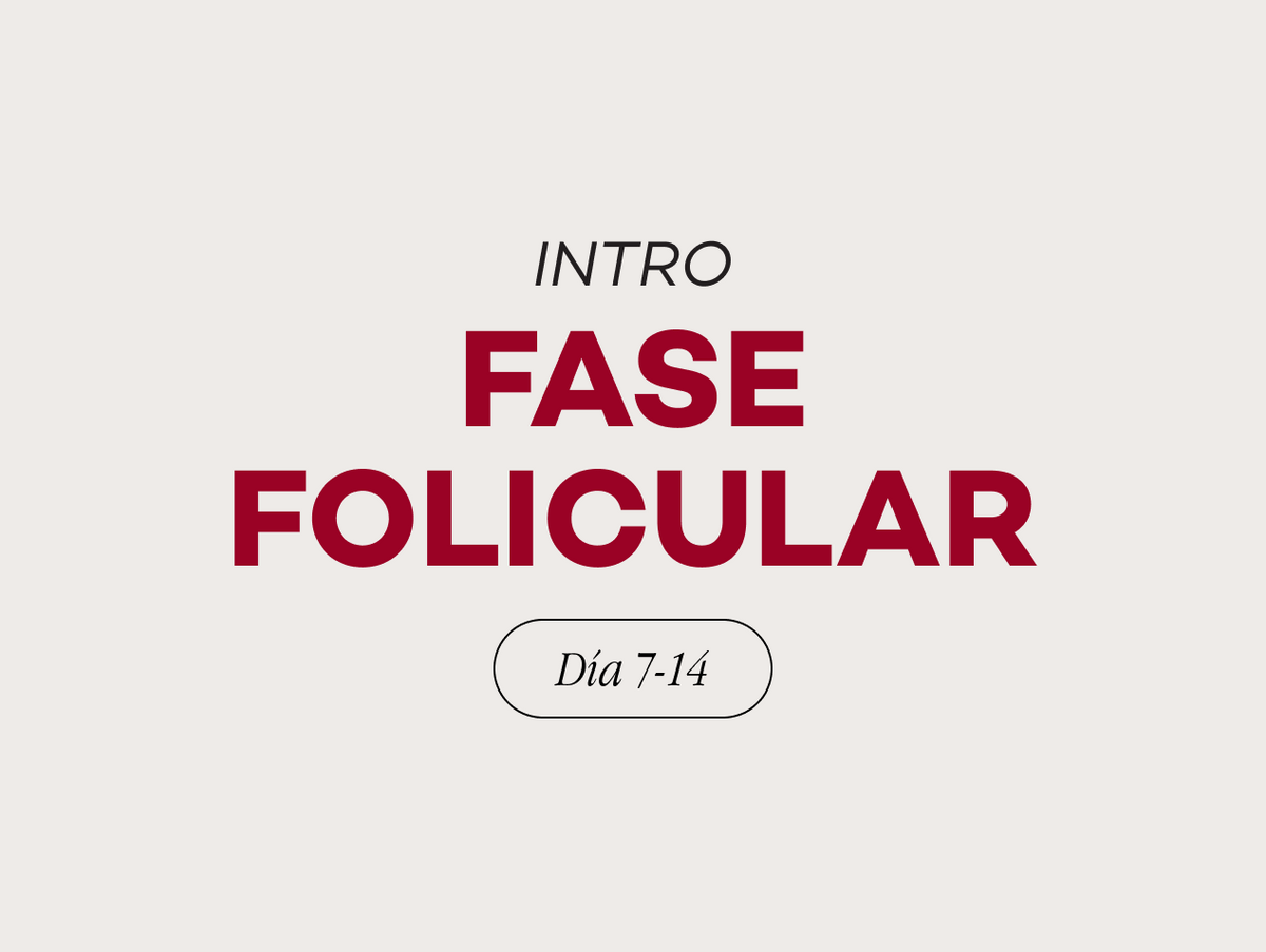 Fase 2: Folicular