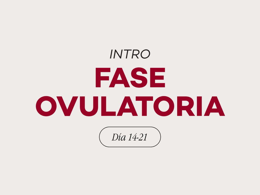 Fase 3: Ovulatoria
