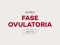 Fase 3: Ovulatoria