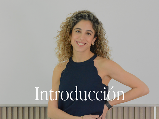 Introducción Moni
