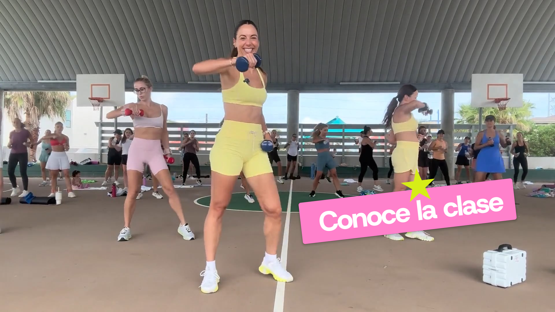 Cargar video: 