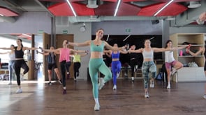 54min legs, arms& shake