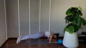 17min Planks&Abs w/ Ball