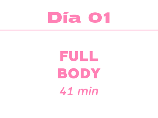 Dia 1: 41min Full Body