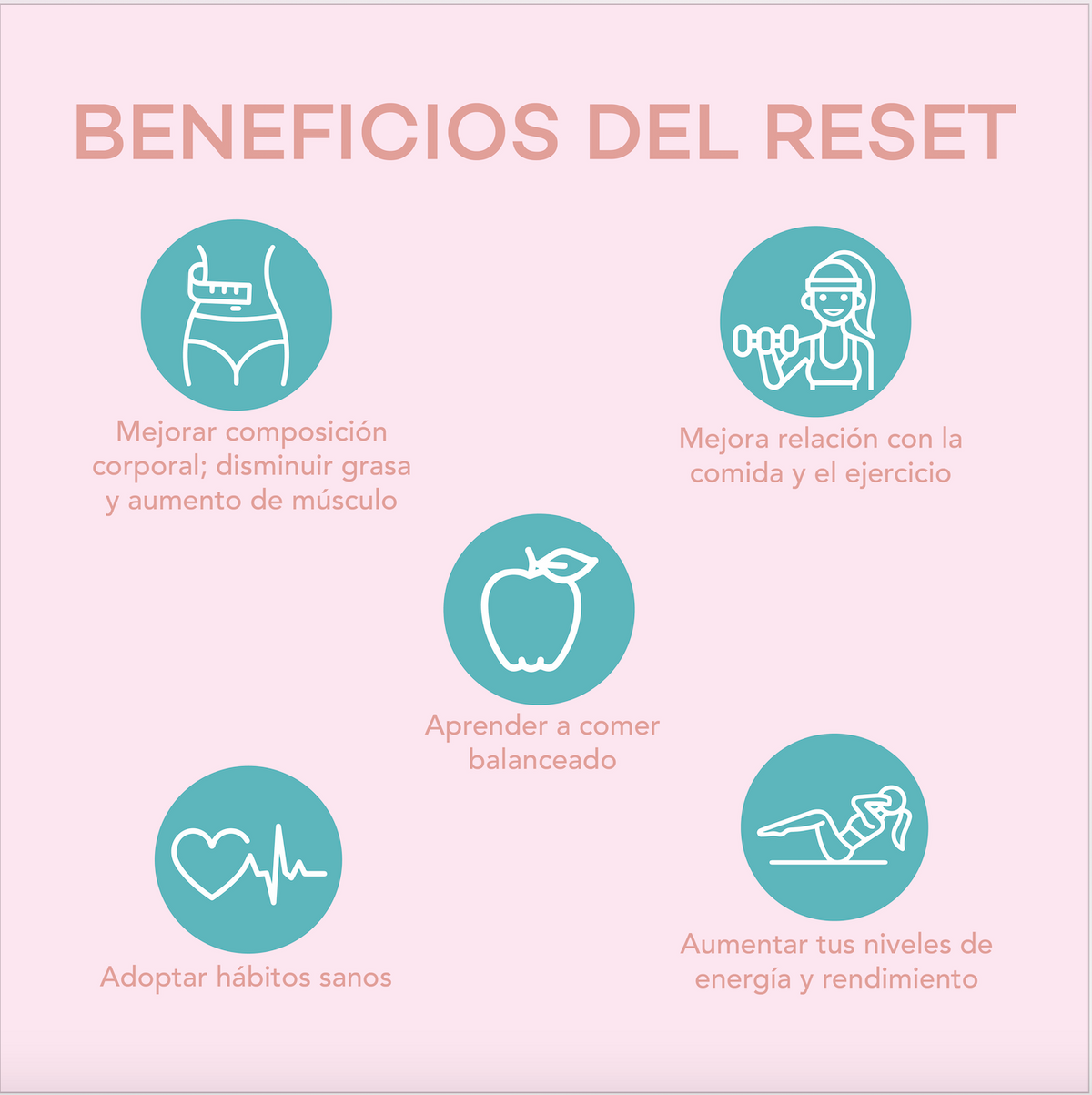 SHAKE UP RESET